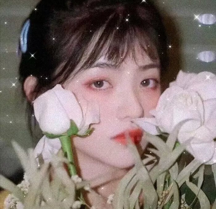 艾菲·格蕾